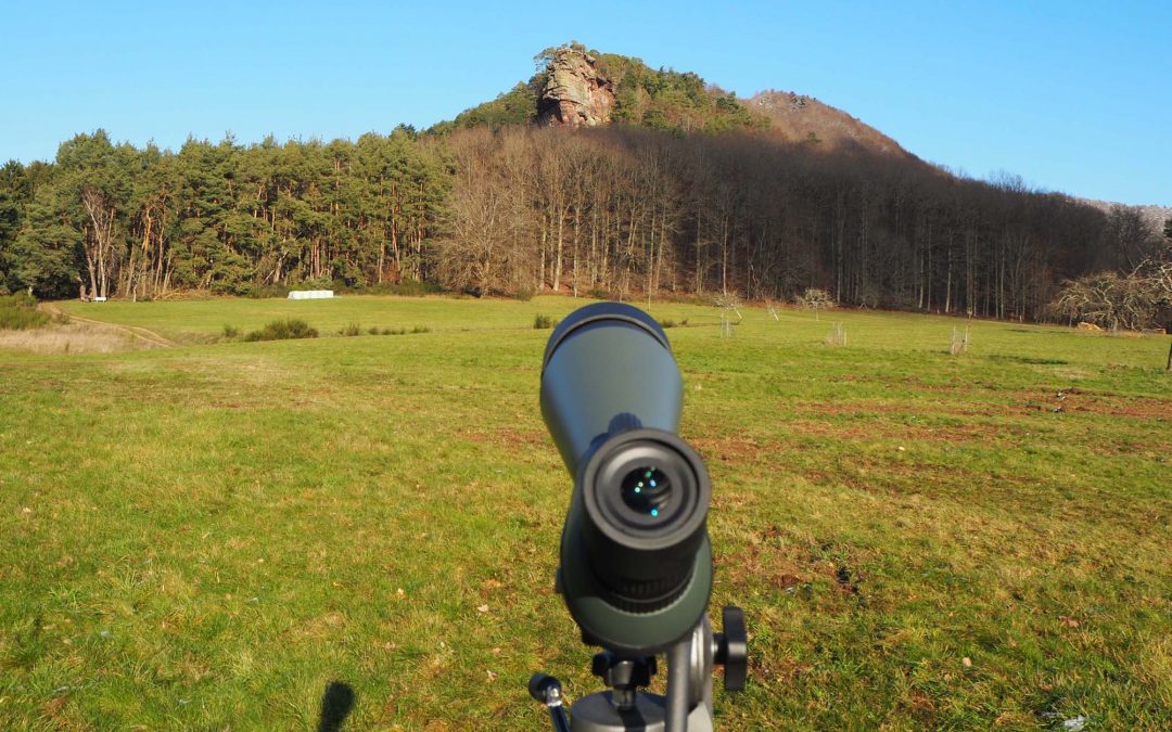 Den Wanderfalken auf der frostigen Spur